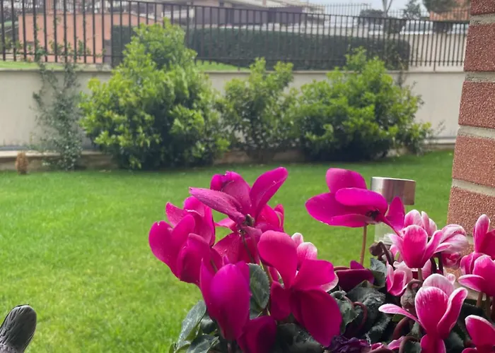 Aloise Apartamento